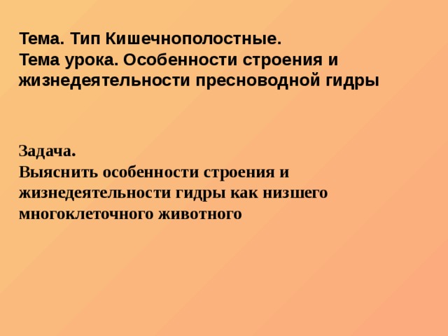 Kraken даркнет рынок