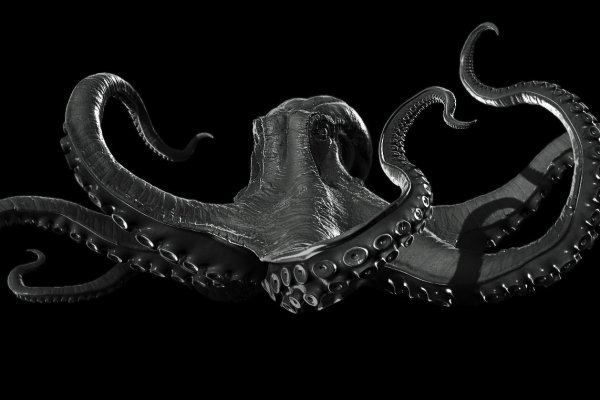 Kraken tor зеркало