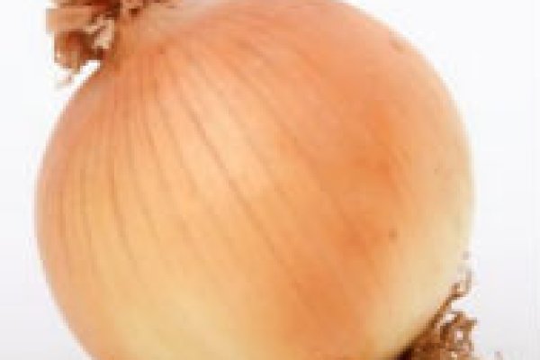 Кракен сайт официальный onion