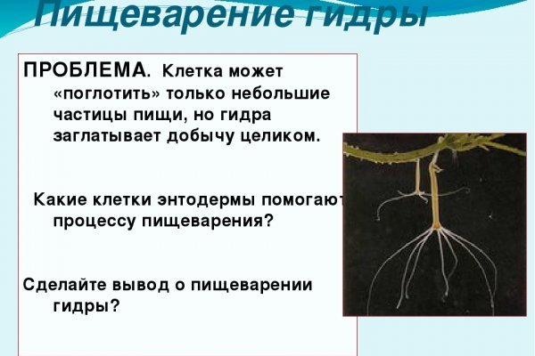 Кракен ссылка зеркало